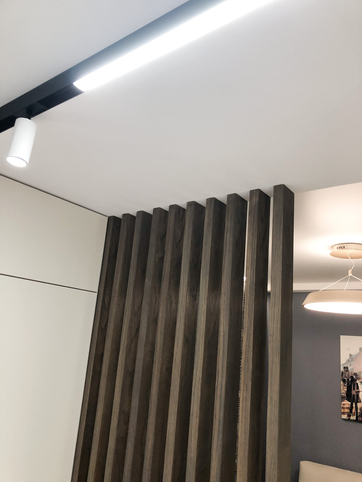 Dark Wood Partition for a Living Room