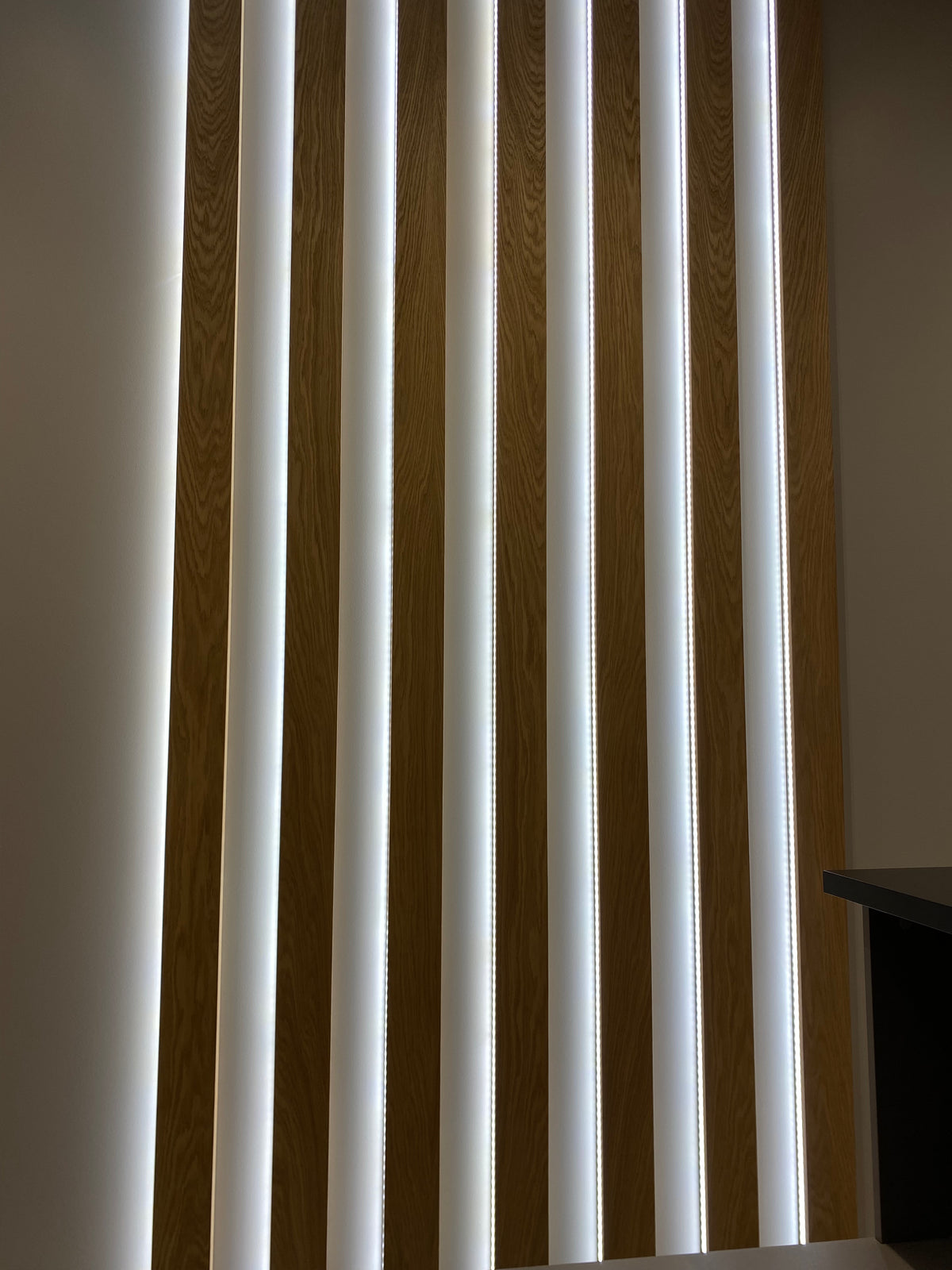 Reception Wall Panels for an Office