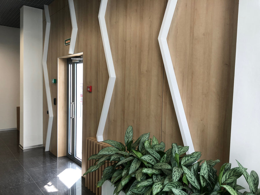 Modern Wall Panels for an Office
