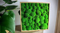 Long green moss pillow