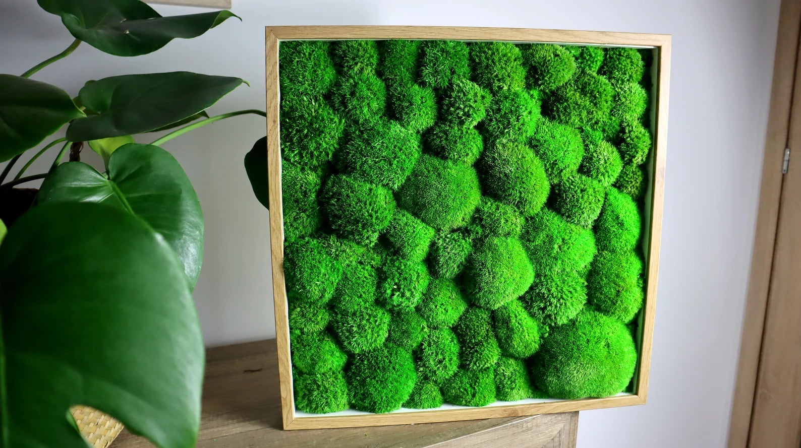 Long green moss pillow