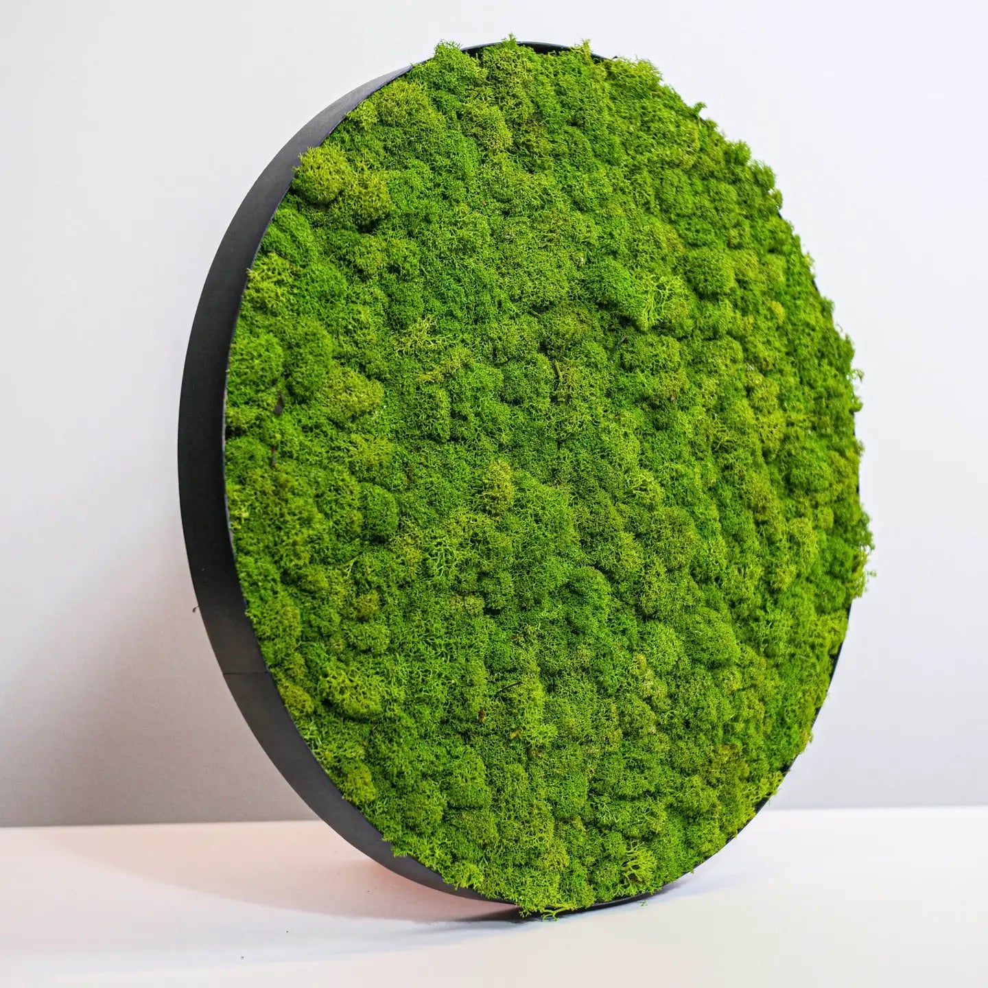 Round moss panel on the wall
