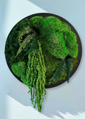 Round moss panel on the wall