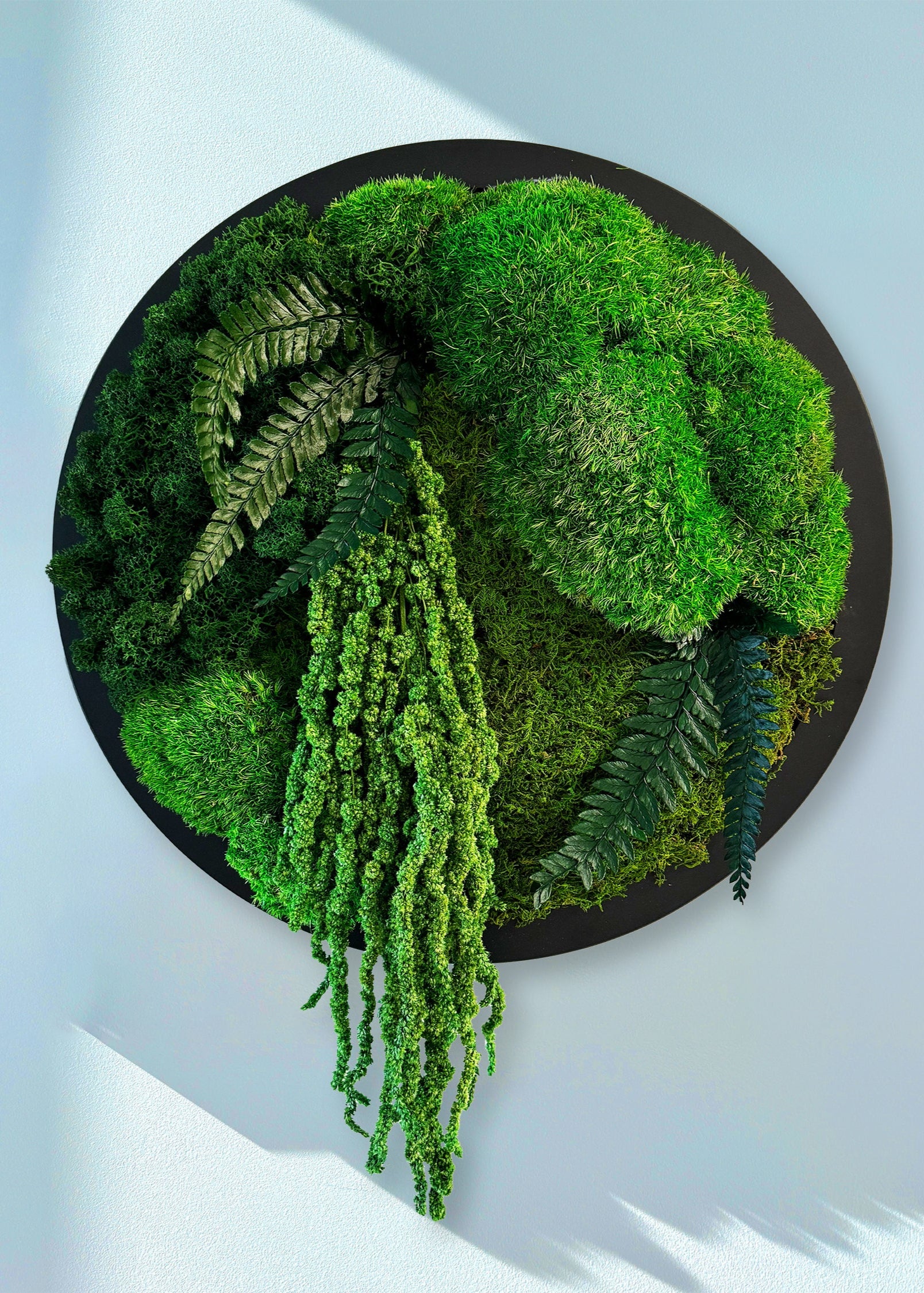 Round moss panel on the wall