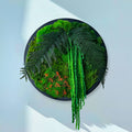 Round moss panel on the wall