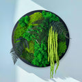 Round moss panel on the wall