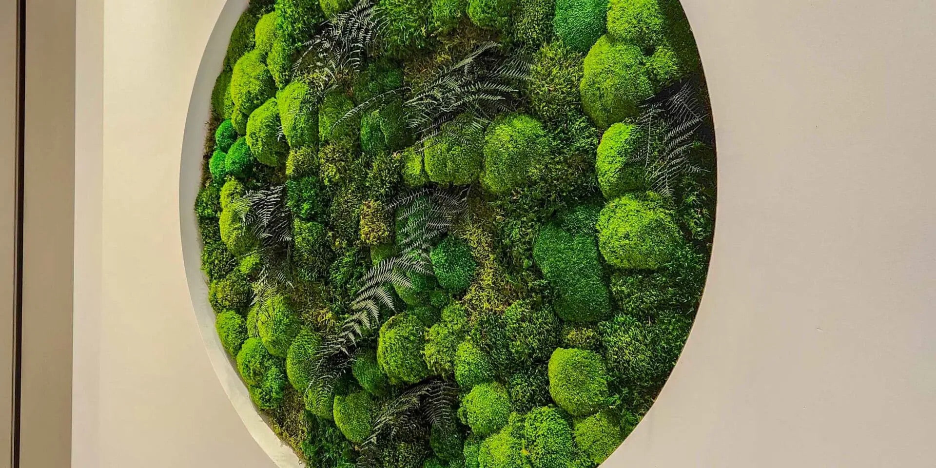 Round moss panel on the wall
