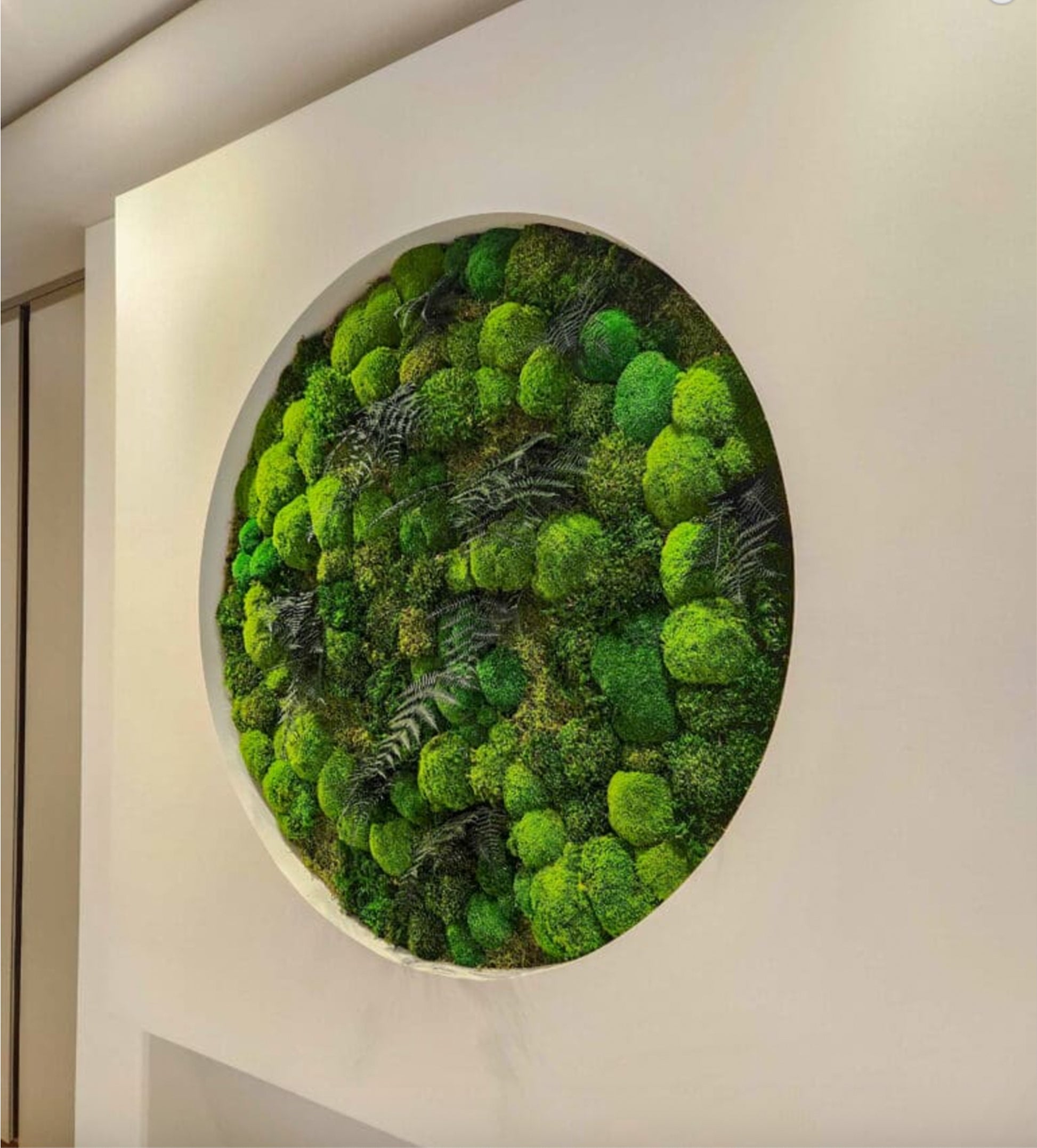 Round moss panel on the wall