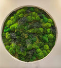 Round moss panel on the wall