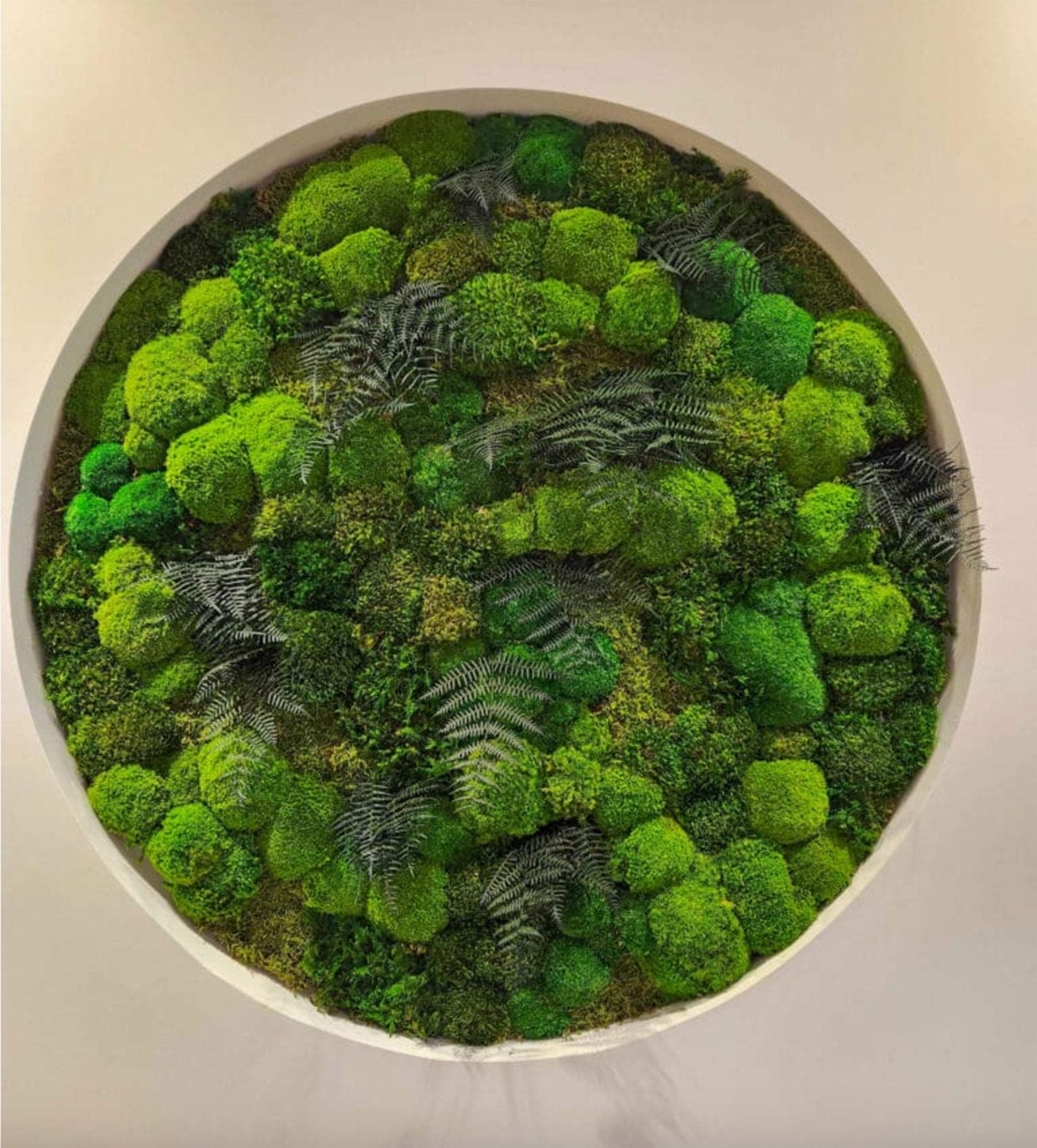 Round moss panel on the wall